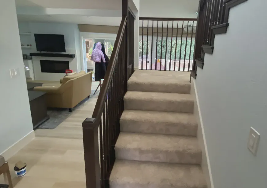 Our Work