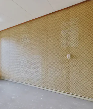 Wallpaper Removal